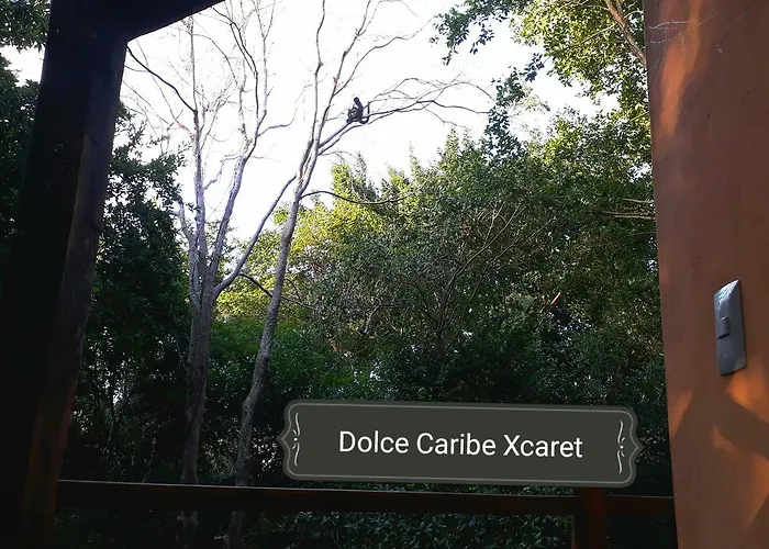 Acomodação com café da manhã  Dolce Caribe Xcaret