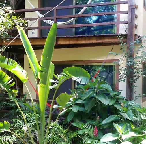 Dolce Caribe Xcaret Acomodação com café da manhã  2*