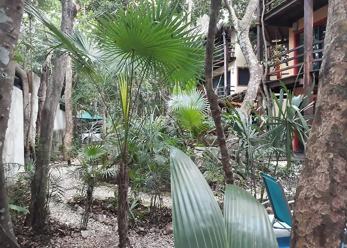Dolce Caribe Xcaret Acomodação com café da manhã  Playa del Carmen