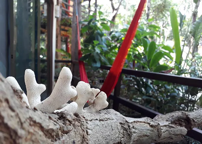 Dolce Caribe Xcaret Acomodação com café da manhã  2*